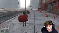Chop picks up Steak and takes him for a walk (Image via Sportskeeda)